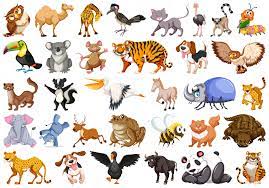 animals 2