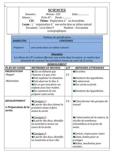 SCIENCES CE1 1