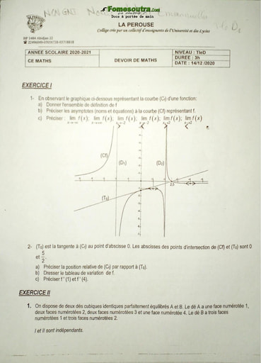 Devoir Mathématiques niveau Tle D - College La Pérouse - Année scolaire 2020-2021