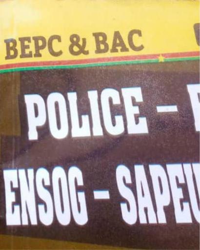 Ensoa Police Gendarmerie 2022 by Tehua