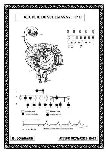 RECUEIL DE SCHEMAS SVT Tle scientifique by TEHUA