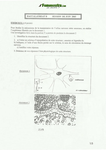 Sujet de SVT BAC D 2003