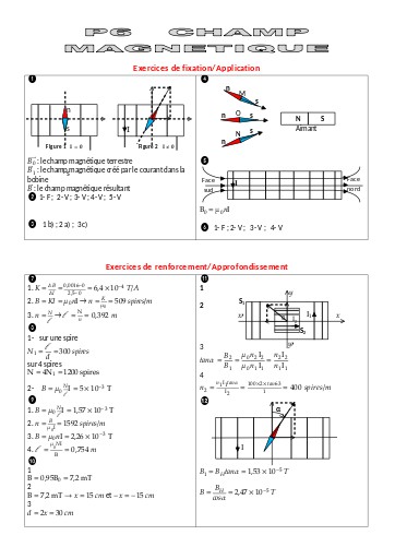 P6 Champ magnétique
