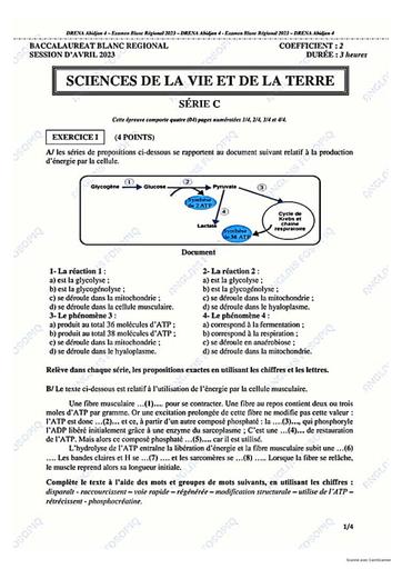 Bac blancs 2023 Serie D SVT+corro ferké by Tehua.pdf