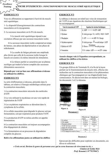 FICHE D'EXERCICES MUSCLE STRIE SQUELETTIQUE Tle D BY TEHUA