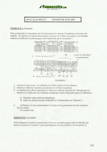 Sujet de SVT BAC C 2003