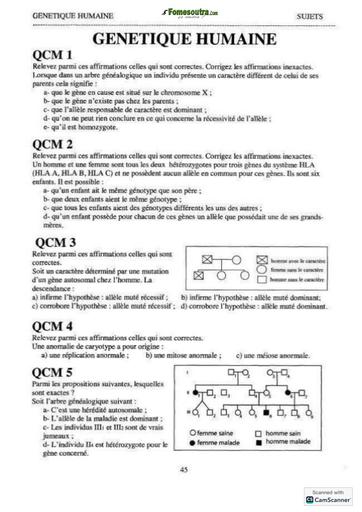 Qcm génétique humaine by Tehua