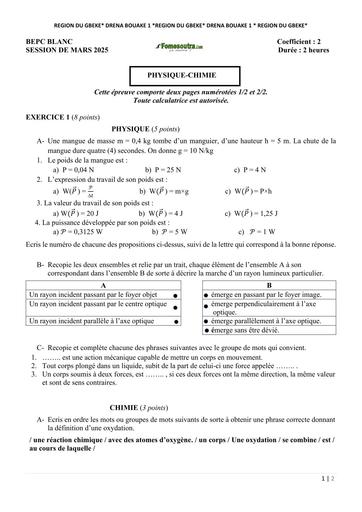 BEPC BLANC REGIONAL MARS 2025 DREN BOUAKE 1 PC SUJET BY TEHUA