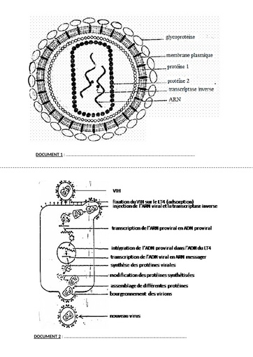 SUPPORTS DYSFONCTIONNEMENT DU SYSTÈME DE DEFENSE (Elèves) by Tehua