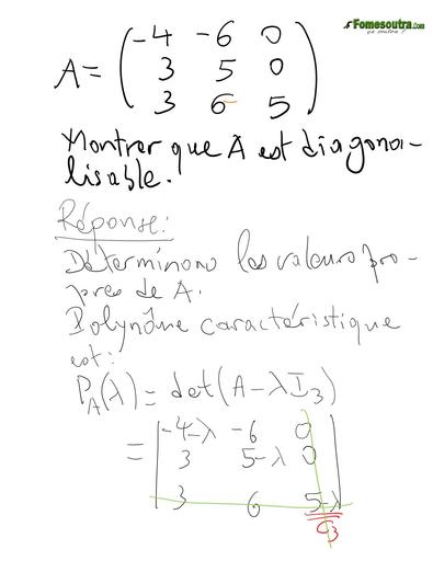 UFHB de Cocody maths (diagonalisable) Jour 2 Fichier3 L2 22 9 2020 by TEHUA