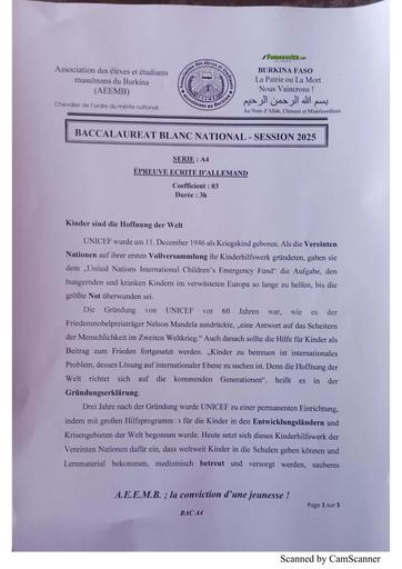 SUJET BAC BLANC 2025  BURKINA FASO BY TEHUA