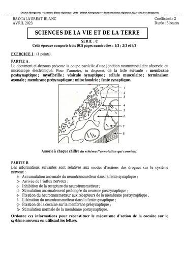 BAC BLANC svt REGIONAL SERIE C