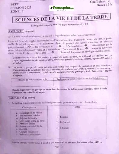 Sujet SVT bepc 2023 zone1