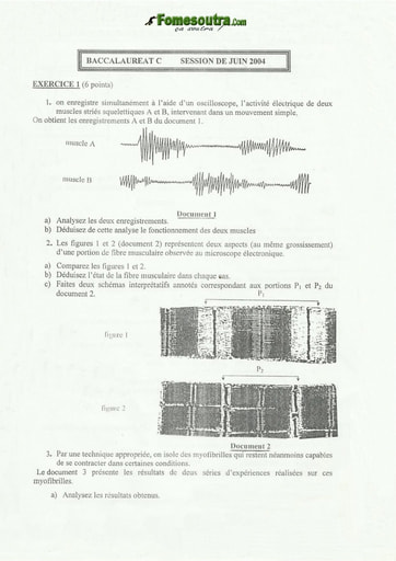 Sujet de SVT BAC C 2004