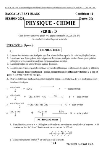 BACCALAUREAT BLANC   2024