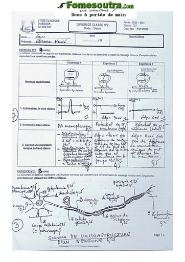 Devoir SVT Terminale D