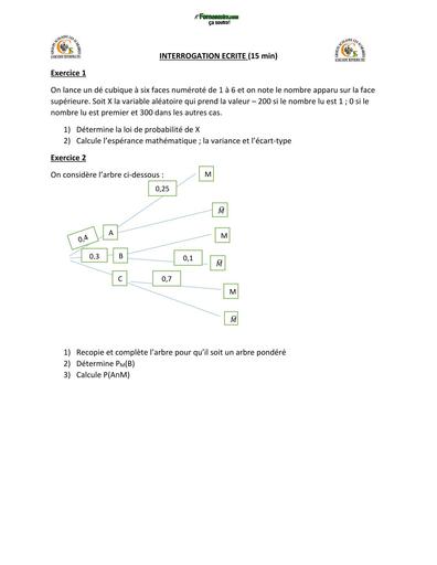 Sujet Tle D INTERROGATION ECRITE Maths proba C  les scarabées by Tehua