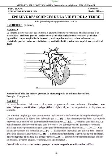 BEPC BLANC 2026 DRENA BOUAFLE SUJET SVT (SUJET) by TEHUA