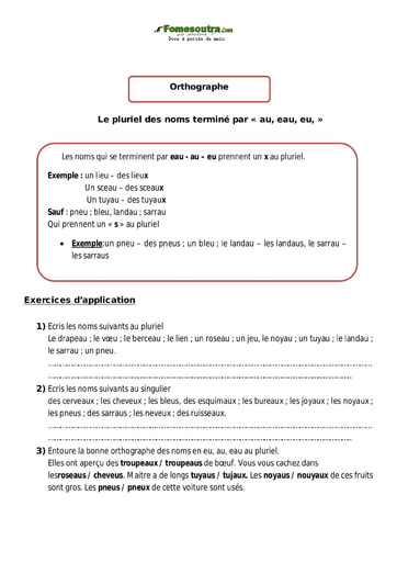 Le pluriel des noms terminé par « au, eau, eu, » - Cours CM1