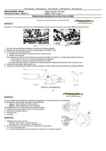 Sujet de SVT BAC blanc 2012 série C - EMPT Bingerville