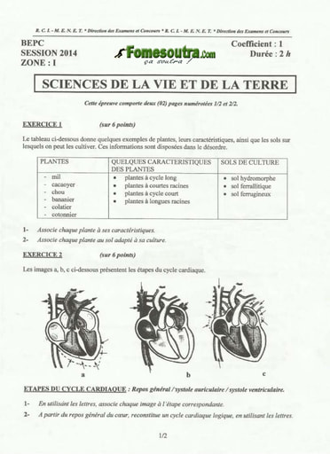 Sujet de SVT BEPC 2014 zone 1