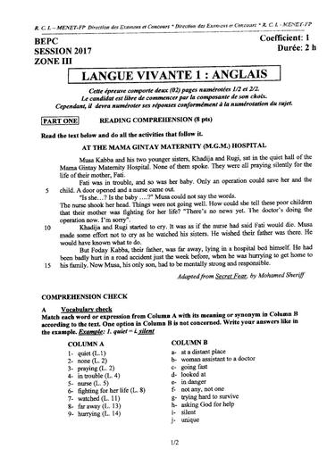 BEPC-Z3-ANG LV1-2017.pdf