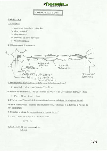 Corrigé de SVT BAC C 2005