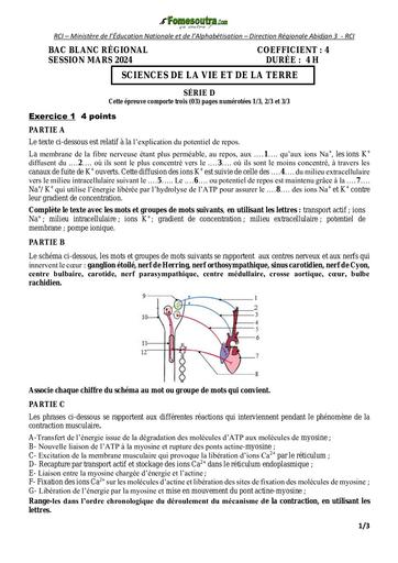 BAC Blanc 2024 SVT SErie D DREN ABidjan 3 SUJET by Tehua