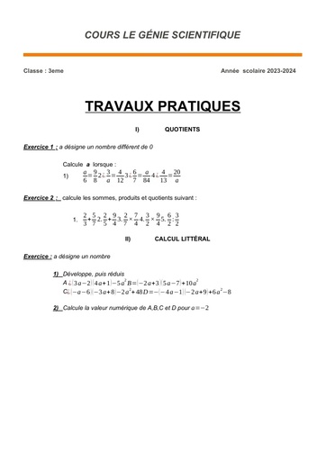 TRAVAUX PRATIQUES 3e