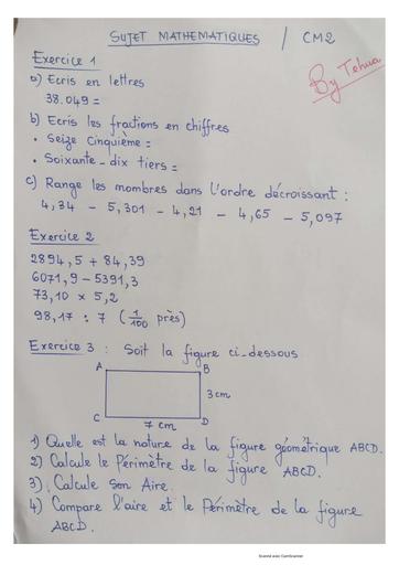 sujet prepa maths CM2 by Tehua.pdf