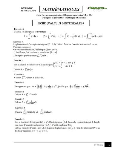 Prepa BAC 2024 FICHE CALCULS D'INTEGRALES by Tehua