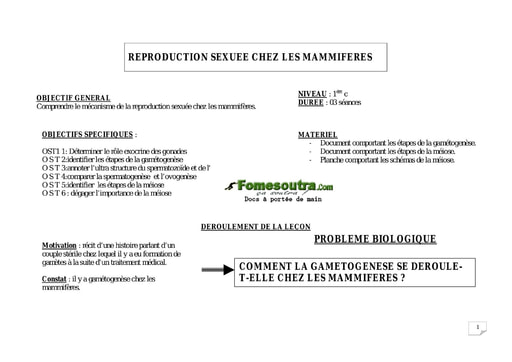 Reproduction chez les mammifères : la gamétogenèse – SVT 1ere C