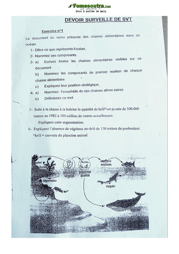 Devoir de SVT niveau 5eme