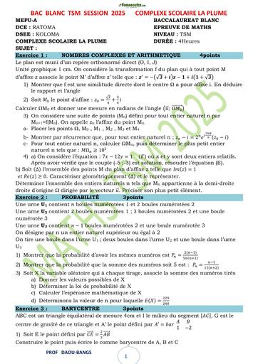 Tle SM MATHS CORRECTION LA PLUME 2025 BAC BLANC BY TEHUA