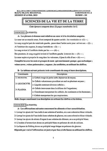 Sujets groupés Bepc blanc 2023 Ferké (svt,pc,maths,hg,all,ang et angl) by Tehua.pdf