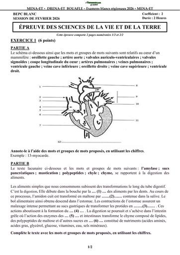 BEPC BLANC 2026 SVT SUJET DRENA BOUAFLE BY TEHUA