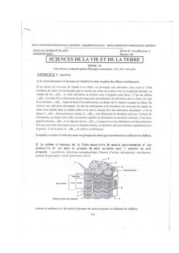 BAC blanc svt+bareme DRENA Aboisso 22 23