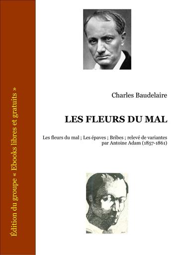 Roman Les fleurs du Mal de Charles Baudelaire by Tehua