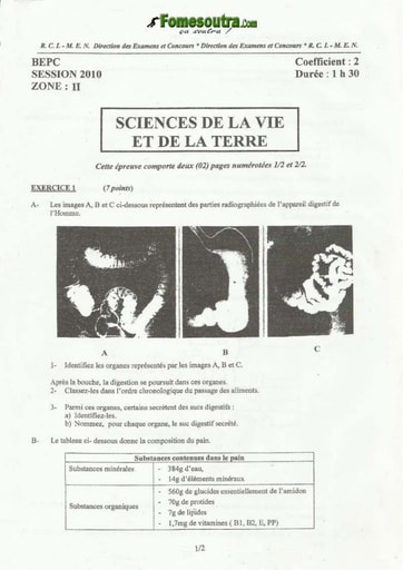 Sujet de SVT BEPC 2010 zone 2