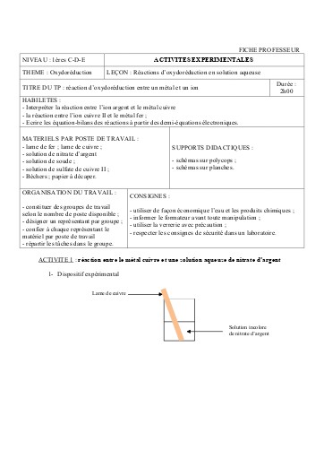 3 Reaction d'oxydoreduction entre un metal et un ion