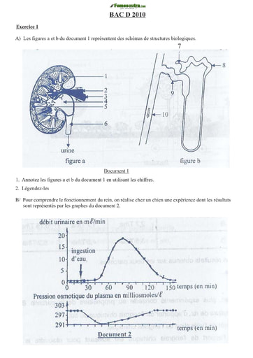 Sujet de SVT BAC D 2010