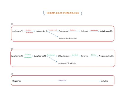 Schema bilan d'immunologie tel D