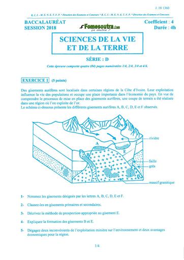 Bac d svt 2018 by TEHUA