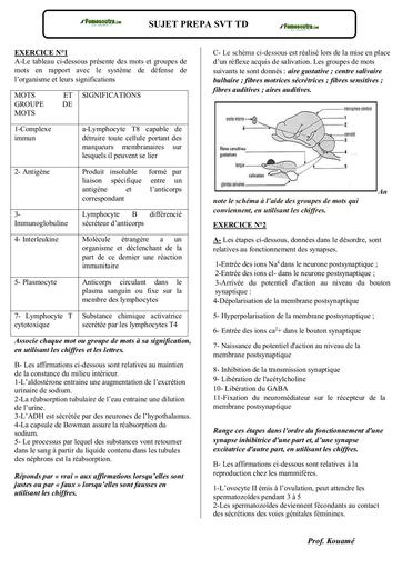 PREPA BAC 2024 SUJET N°3 TD SVT by Tehua