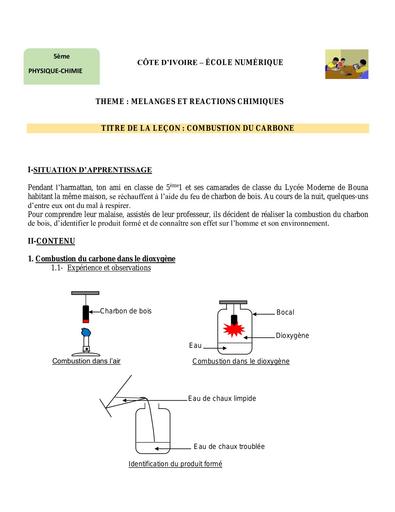 PC 5ème L9 Combustion du carbone