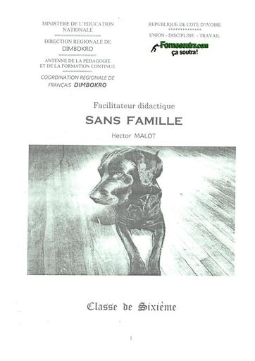 FACILITATEUR Sans Famille Hector Malot CLASSE 6ième BY TEHUA