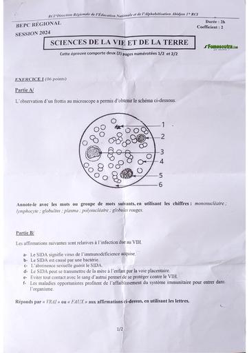 Bepc blanc 2024 Svt dren Abidjan 1 by Tehua