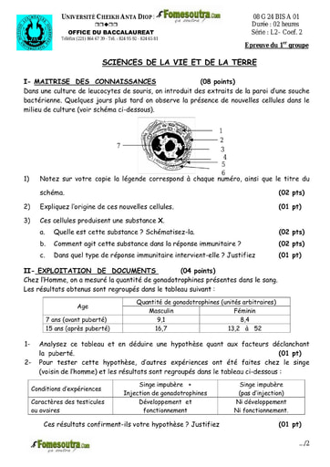 Sujet de SVT BAC L2 2008 - Sénégal