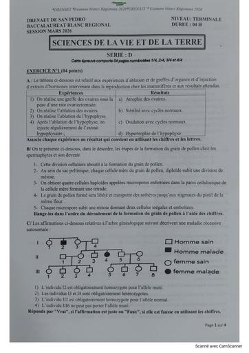 BAC BLANC 2026 SANS PEDRO SVT SERIE D BY TEHUA