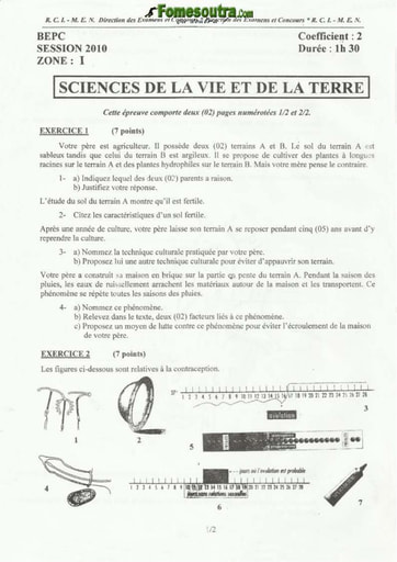 Sujet de SVT BEPC 2010 zone 1